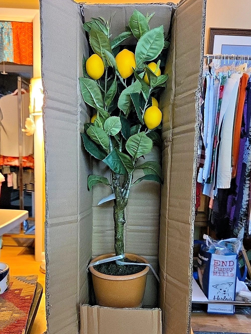 Lemon tree Faux in Green & Yellow NWT